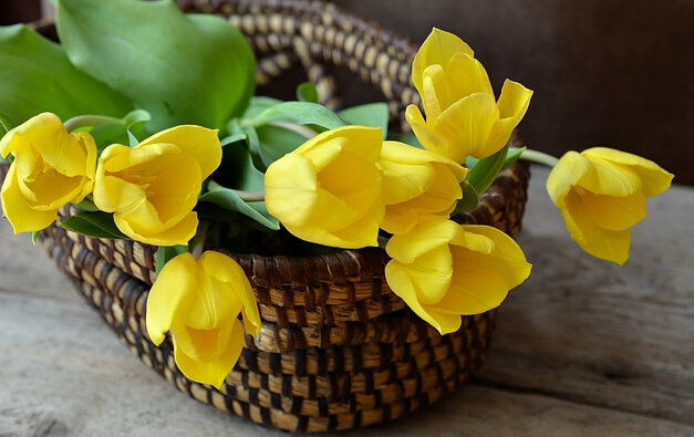 直接引語(yǔ)和間接引語(yǔ)