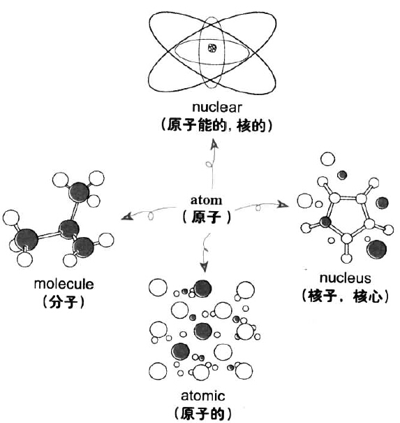 漫畫(huà)搞定六級(jí)詞匯 第83期