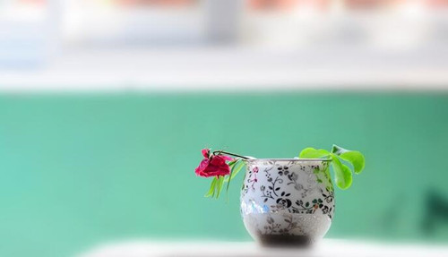 托?？谡Z十大問題句式，你中招了嗎？