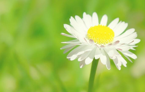 20招教你妙計雅思詞匯