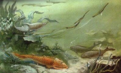 萬(wàn)物簡(jiǎn)史 第82期:敲石頭的人們(14)