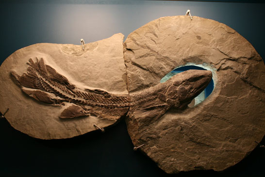 萬(wàn)物簡(jiǎn)史 第83期:敲石頭的人們(15)