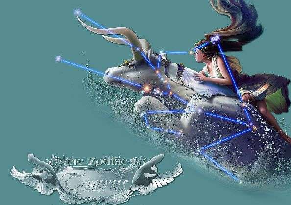 如何用英語(yǔ)談?wù)撟约旱男亲? height=