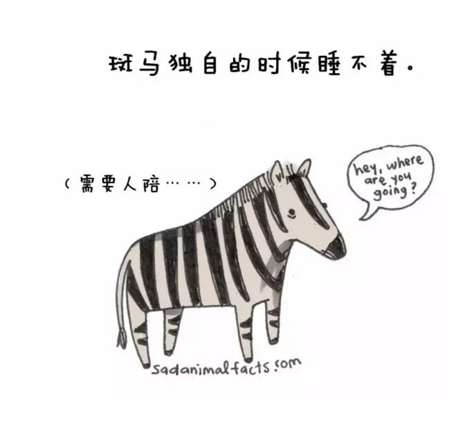 動物圈也賣萌，你造嗎？
