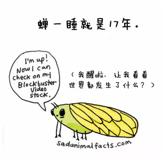 動物圈也賣萌，你造嗎？