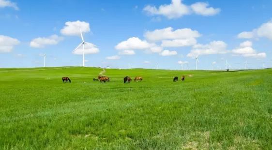 一定要看:不出國門也要知曉各國的餐桌禮儀