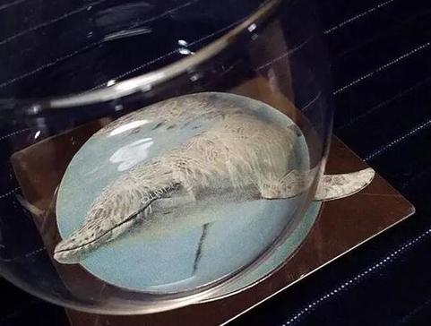 像最強(qiáng)大腦“水哥”這樣的神級(jí)人物，要用怎樣的英文詞來形容