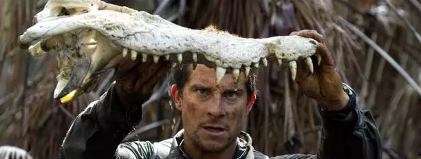 貝爺微博向傅爺下戰(zhàn)書！荒野求生 約嗎？