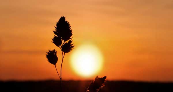 人死的時候身體會發(fā)生什么變化呢？