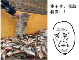 【語(yǔ)音版】前方高能：look不只是“看”