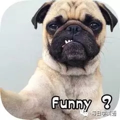 我可能學(xué)了假的funny......