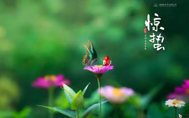 春來夏往，秋去冬來。節(jié)氣的英文表達(dá)奉獻(xiàn)給大家。