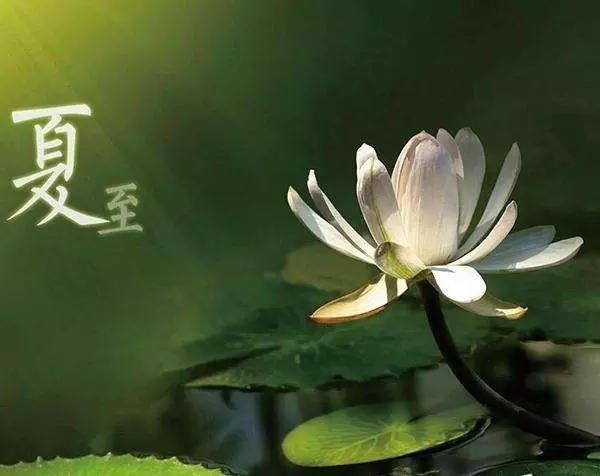 春來夏往，秋去冬來。節(jié)氣的英文表達(dá)奉獻(xiàn)給大家。