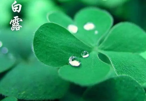 春來夏往，秋去冬來。節(jié)氣的英文表達(dá)奉獻(xiàn)給大家。