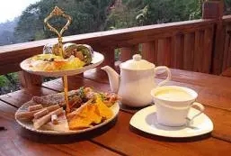 聽說下雨天，中國(guó)的茶文化和英文很配哦！