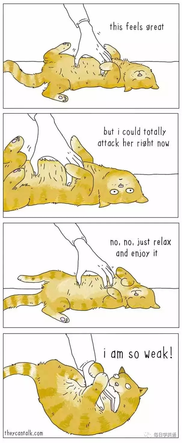 如果動(dòng)物會(huì)說人話，它們會(huì)說什么?國外網(wǎng)站 theycantalk 通過一組逗趣的動(dòng)物漫畫，讓你能夠更生動(dòng)地理解動(dòng)物的思維。