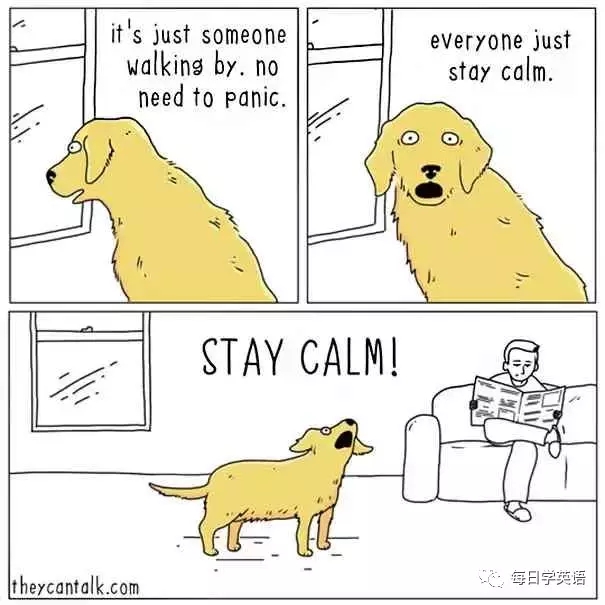   如果動(dòng)物會(huì)說人話，它們會(huì)說什么?國外網(wǎng)站 theycantalk 通過一組逗趣的動(dòng)物漫畫，讓你能夠更生動(dòng)地理解動(dòng)物的思維。