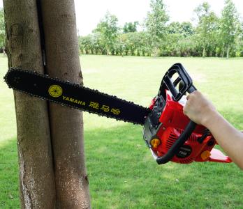 本來(lái)英語(yǔ)之路就坎坷，現(xiàn)在有點(diǎn)兒顛簸......