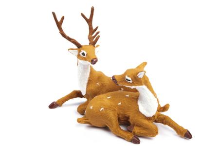 本來(lái)英語(yǔ)之路就坎坷，現(xiàn)在有點(diǎn)兒顛簸......