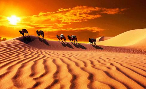 本來(lái)英語(yǔ)之路就坎坷，現(xiàn)在有點(diǎn)兒顛簸......