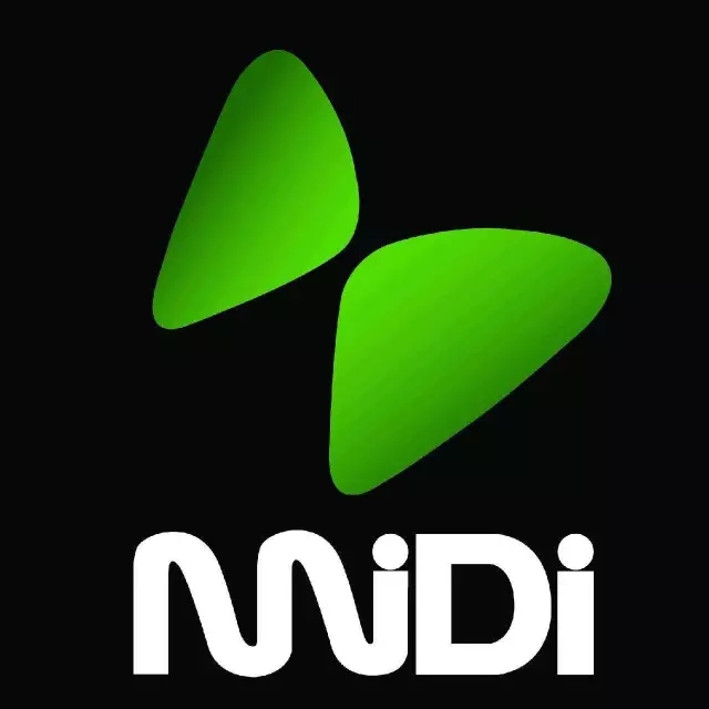 全世界各種各樣的音樂節(jié)......