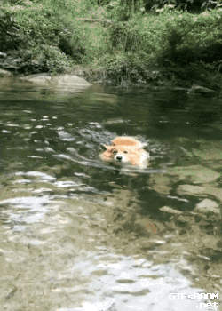 關于游泳的那些事兒。