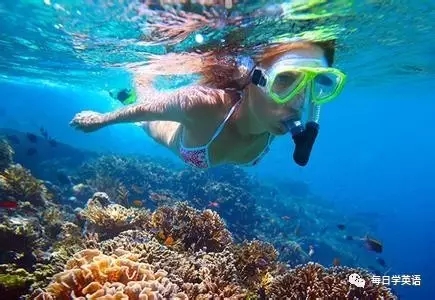 關于游泳的那些事兒。