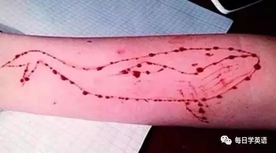 請務(wù)必遠(yuǎn)離“藍(lán)鯨死亡游戲”?。。?！