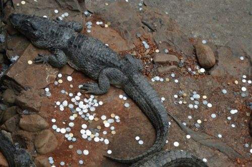 往飛機(jī)發(fā)動機(jī)里扔硬幣 這位老人的祈福方式連外媒都震驚了