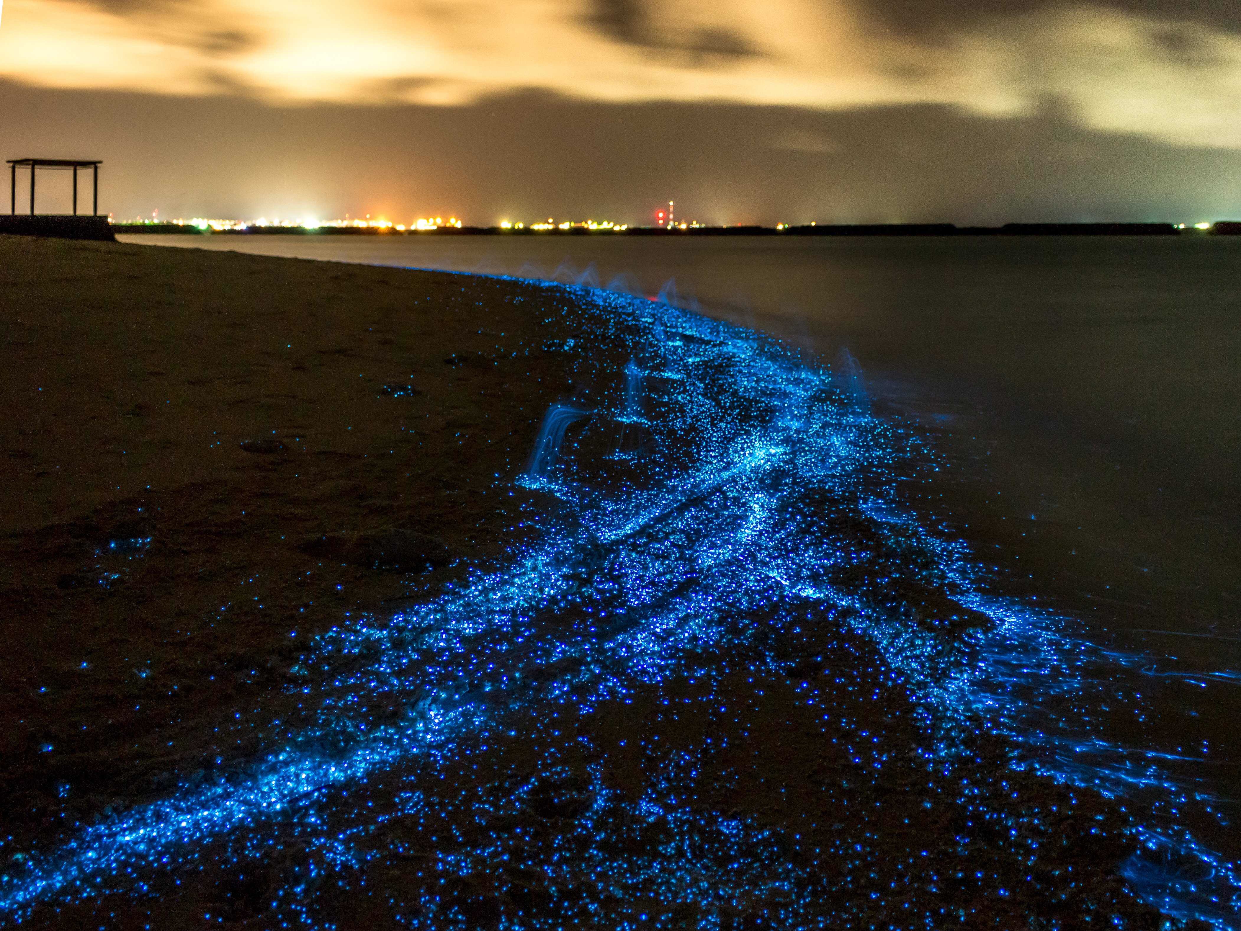 世界上刷新三觀的真相，就是這么奇妙，你知道嗎？