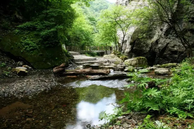 出門五分鐘，流汗兩小時(shí)？不，還有這些涼爽的地方