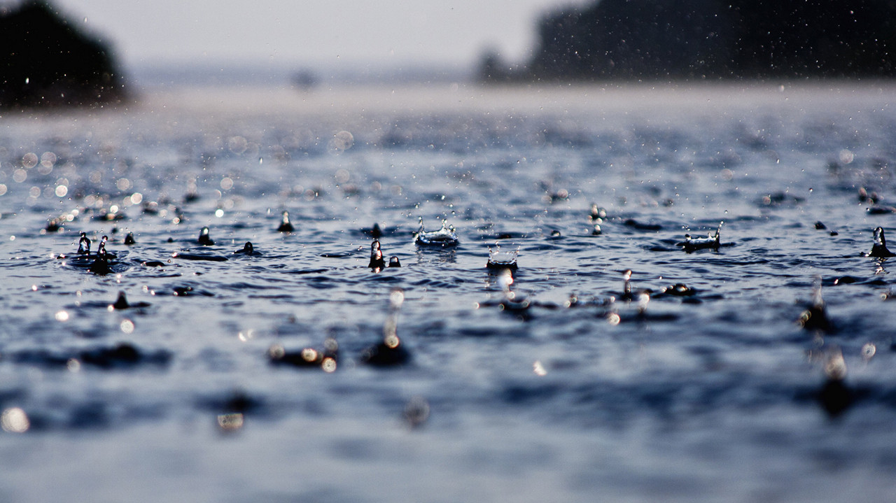 雨中