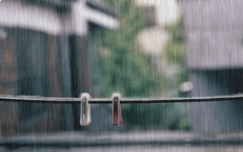 雨中