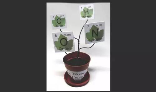 2017搞笑諾貝爾獎揭曉啦！看看今年奇葩研究都有啥