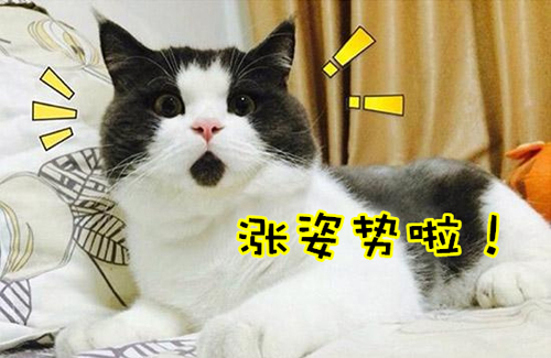 萬萬沒想到！七個讓你驚呼“厲害了”的冷知識