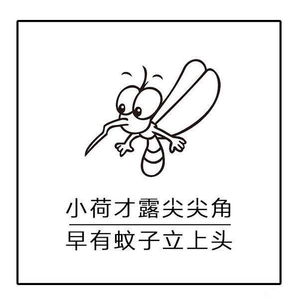 蚊子