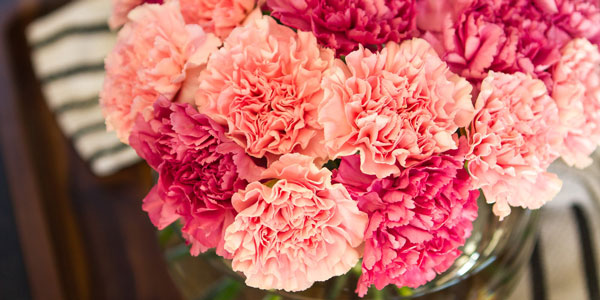 10種鮮花的英文名及含義，蘭花的竟然這么污，不忍直視