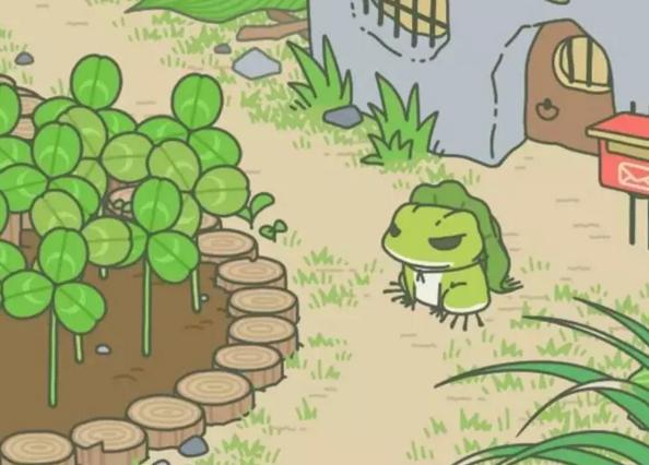 佛系90后掀起養(yǎng)蛙風(fēng)：今天你的蛙兒子回家了嗎？（附攻略）