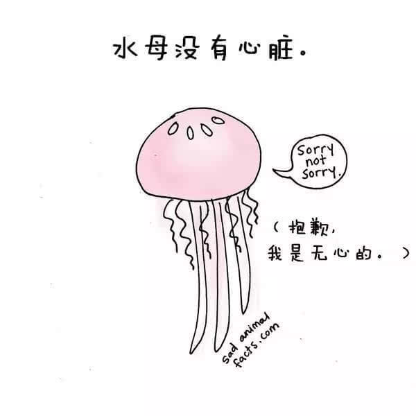 動(dòng)物冷知識(shí)