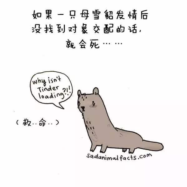 動(dòng)物冷知識(shí)