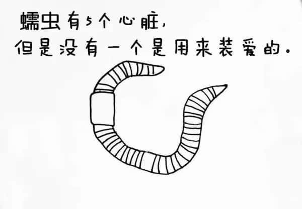 動(dòng)物冷知識(shí)
