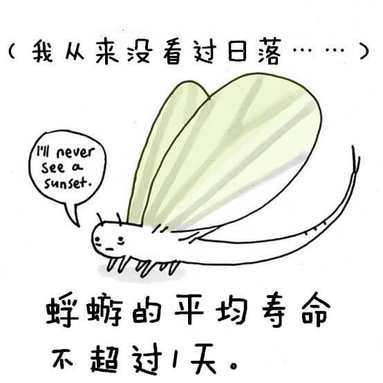 動(dòng)物冷知識(shí)