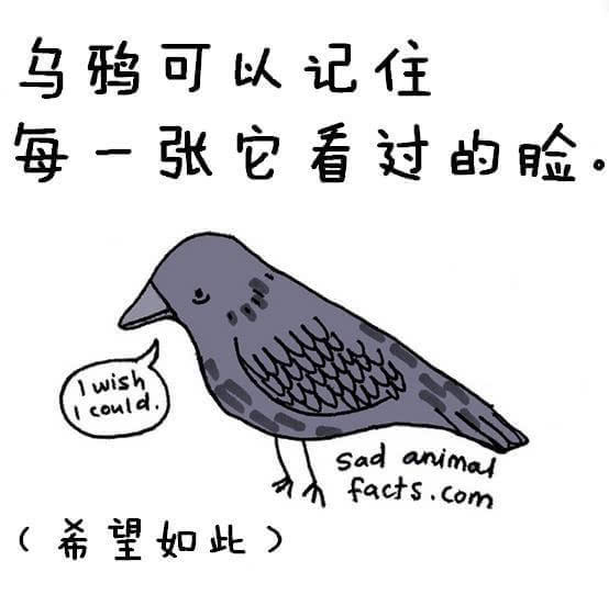 動(dòng)物冷知識(shí)