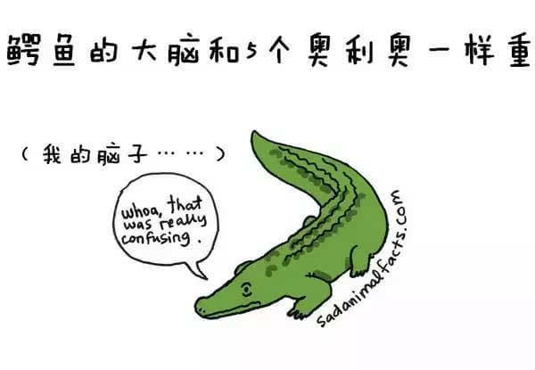 動(dòng)物冷知識(shí)