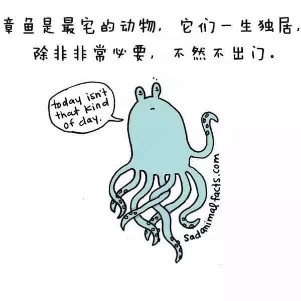 動(dòng)物冷知識(shí)