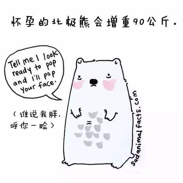 動(dòng)物冷知識(shí)