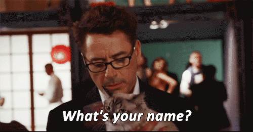 問別人名字，不要再說What is your name啦