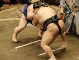 實(shí)戰(zhàn)口語(yǔ)情景對(duì)話：Sumo 相撲