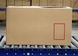 實戰(zhàn)口語情景對話:First Job 第一份工作