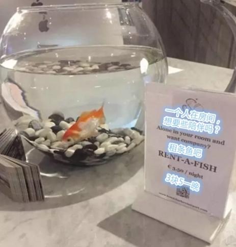 網(wǎng)友曬出貼心的酒店服務(wù)，這些設(shè)計(jì)也太人性化了吧